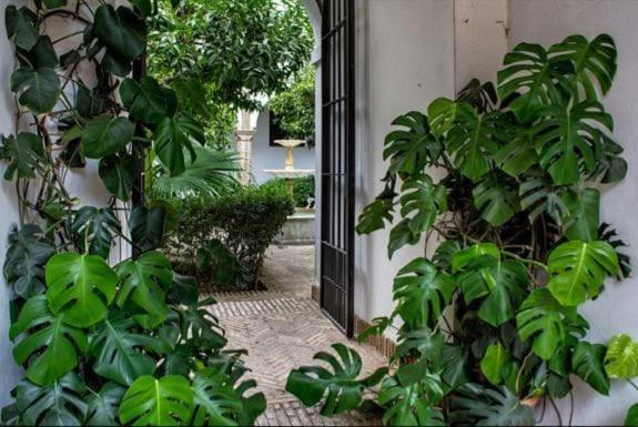 Apartamento En Un Dormitorio En Plaza Alfaro Sevilla Kültér fotó